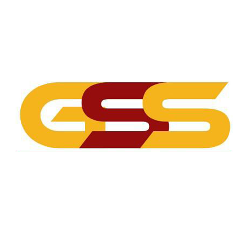GSS Healthcare logo