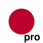 Cover Image of ダウンロード Hiragana/Katakana Drill Pro  APK