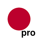 Hiragana/Katakana Drill Pro icon