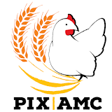 PIX/AMC icon