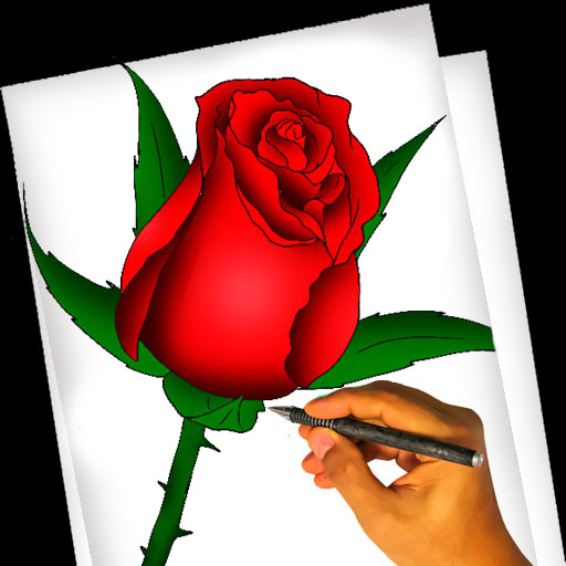 how to draw rose -cómo dibujar rosa