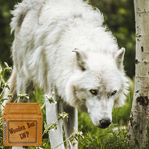 white wolf wallpaper logo