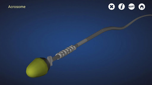 Assisted Reproduction Free