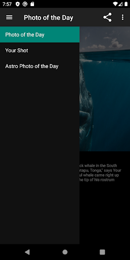 Photo of the Day Screen 2