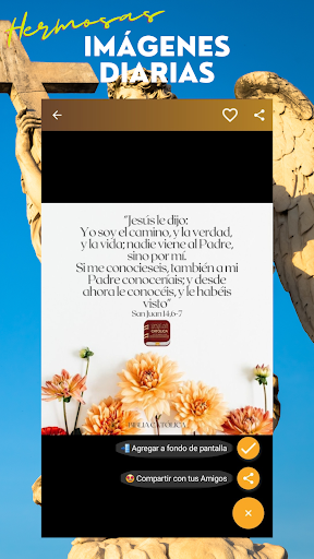 Biblia Católica en español screenshot 9