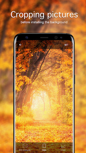 Screenshot of Autumn Wallpapers PRO
