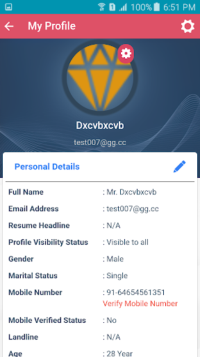Job Portal Screen 3