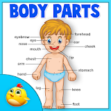 Learning Human Body Part 1 icon