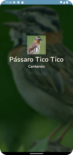 Android application Pássaro Tico Tico Cantando screenshort