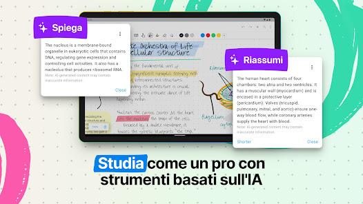 Immagine screenshot