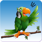 Parrot Speech - Teach Parrot to talk, Mimic Sound