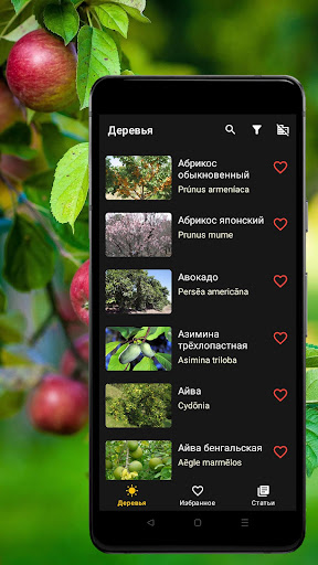 Android application Справочник плодовых деревьев screenshort