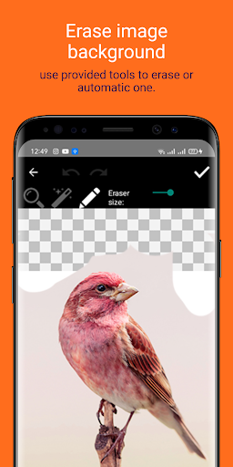 EraZor - Remove Background