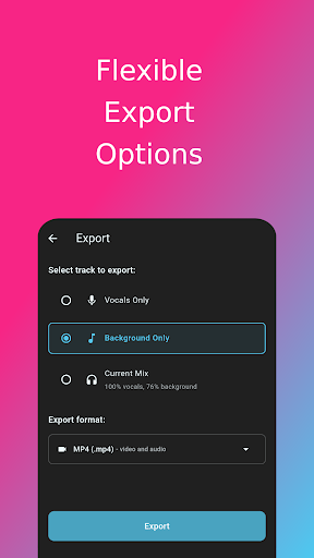 LocalSplit AI Vocals Remover