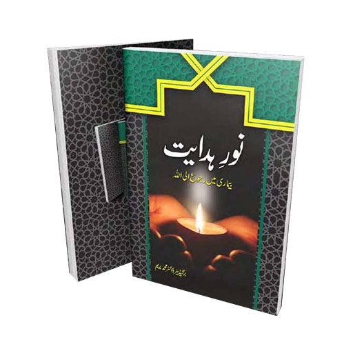 Noor e Hidayat logo