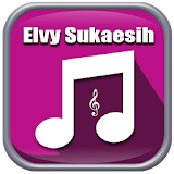 Dangdut Elvy Sukaesih icon