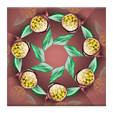 Quasi-Kaleido icon