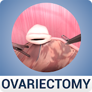 Ovariectomy in Dogs (Free)