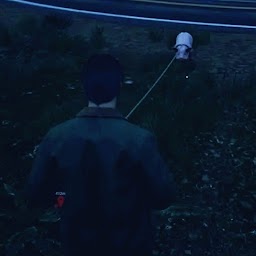 Adviser For Ranch Simulator