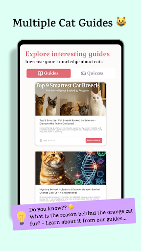 Catsy AI Cat Breed Identifier