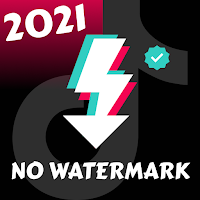 Video Downloader for TikTok - No Watermark Repost