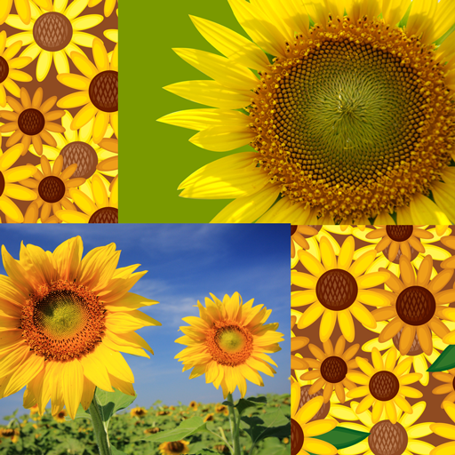 Kolase Foto Bunga Matahari Aplikasi Di Google Play