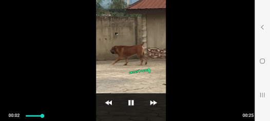 Screenshot image