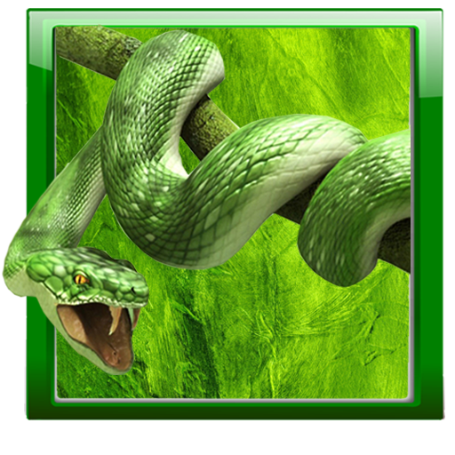 Snake Live Wallpaper