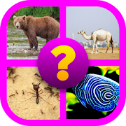 Top 30 Puzzle Apps Like Animal Name Puzzle - Best Alternatives