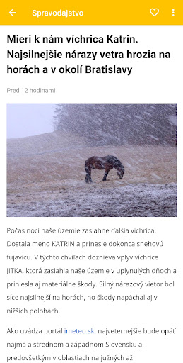 Bratislavak Screen 3
