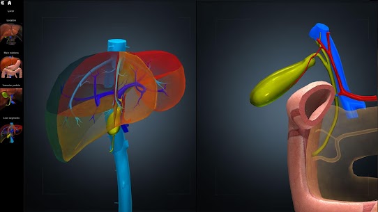 Anatomy Learning MOD APK- 3D Anatomy Atlas (Full Unlock) 4