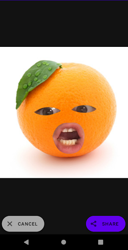 Annoying Fruit Camera Screen 3