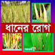 ধানের রোগ ~ Rice Diseases Download on Windows