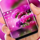 Carnation Theme Pink Purple Mother Flower icon