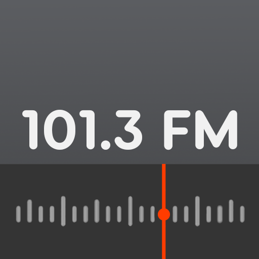 Rádio Guaíba FM 101.3 logo