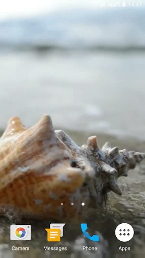 Sea Shell 4K Live Wallpaper
