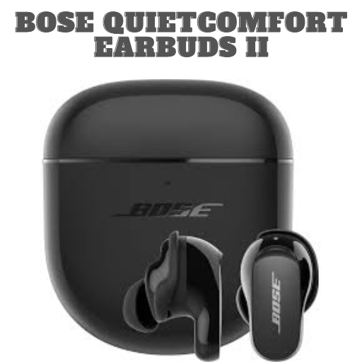 QuietComfort Earbuds 2 Guide  Icon