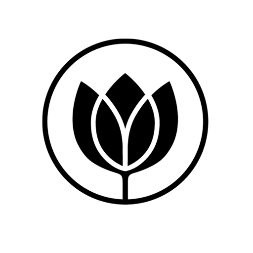 KABS Viden logo