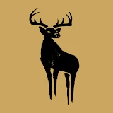 Black Deer Festival icon