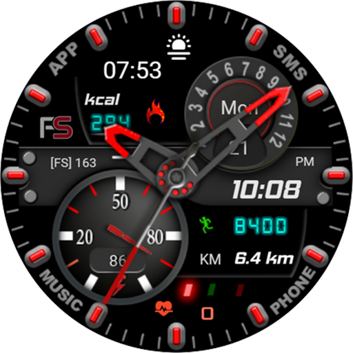 FSW204 WATCHFACE