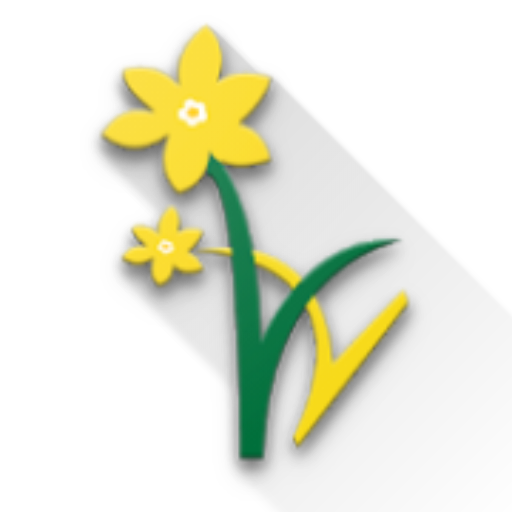 Daffodils World School - Stude logo