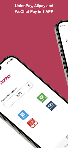 Silkpay Screen 3