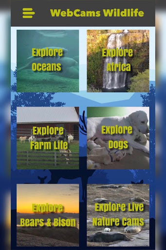 WebCams Wildlife Screen 2