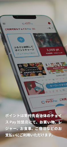 ふるさと納税払い チョイスPay Screen 3