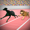 Dog Racing Games Simulator Dog Run Games app apk icon