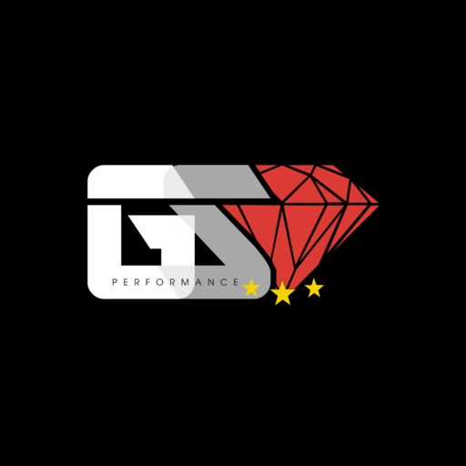Grind n Shine Performance logo