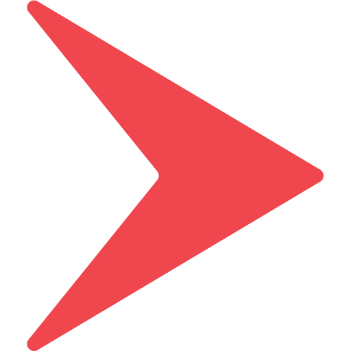Rapidoo Priority logo