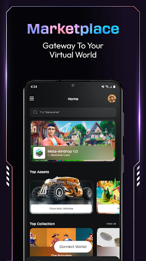 Screenshot of Blockchain Land Metaverse