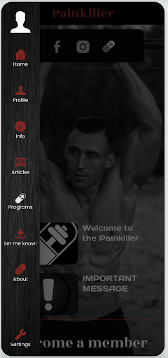 Painkiller Screen 2