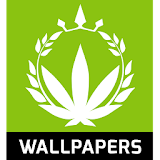 Marijuana HD Wallpapers icon
